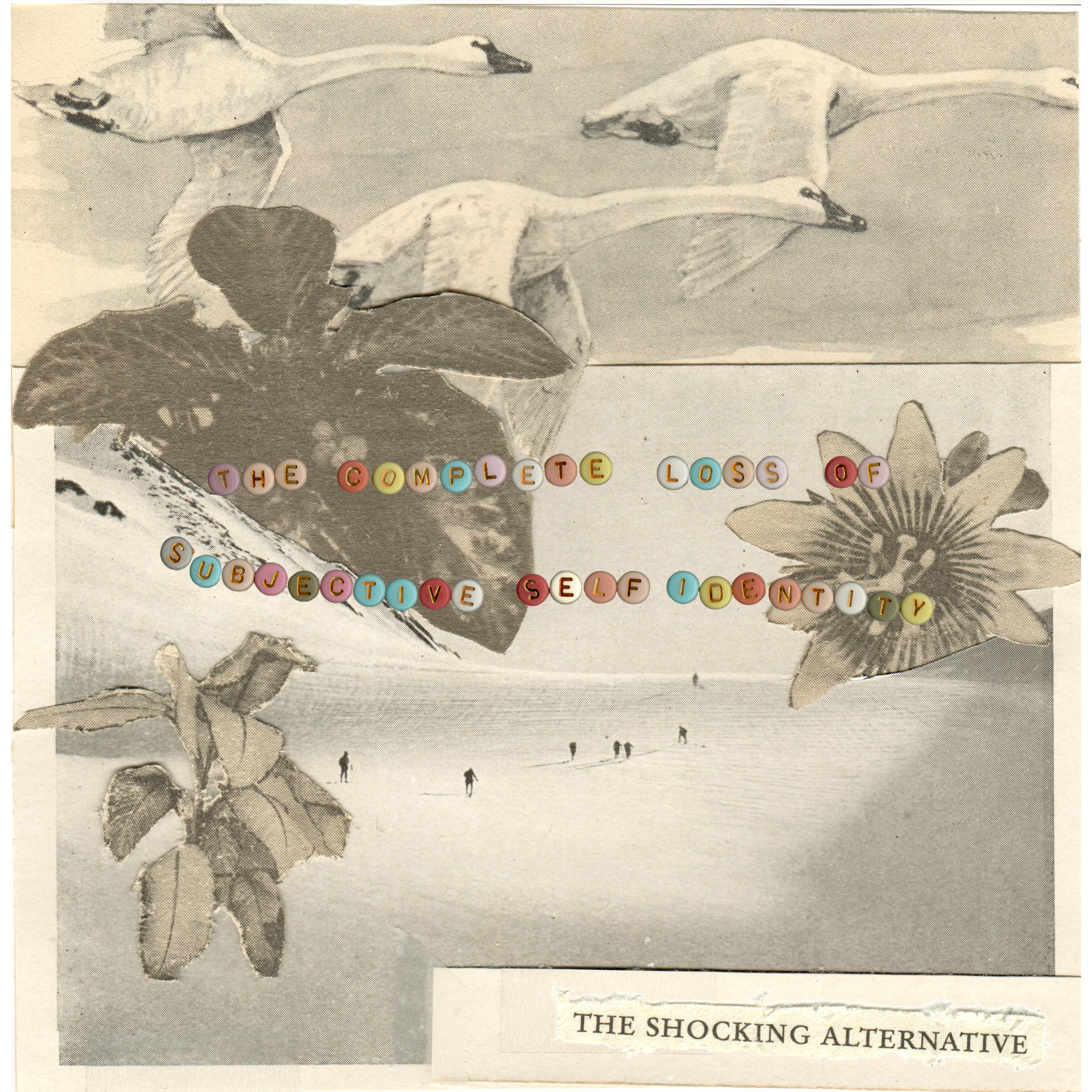 The Complete Loss of Subjective Self-Identity cover art